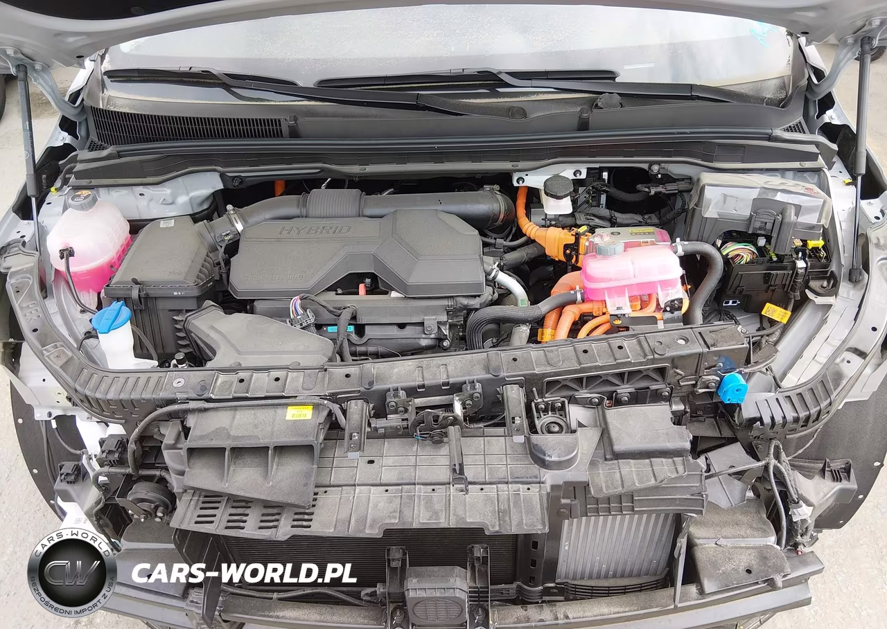 2026 Kia Carnival Mpv Hybrid Sx VIN:KNDNE5KA8T6139384 - 10