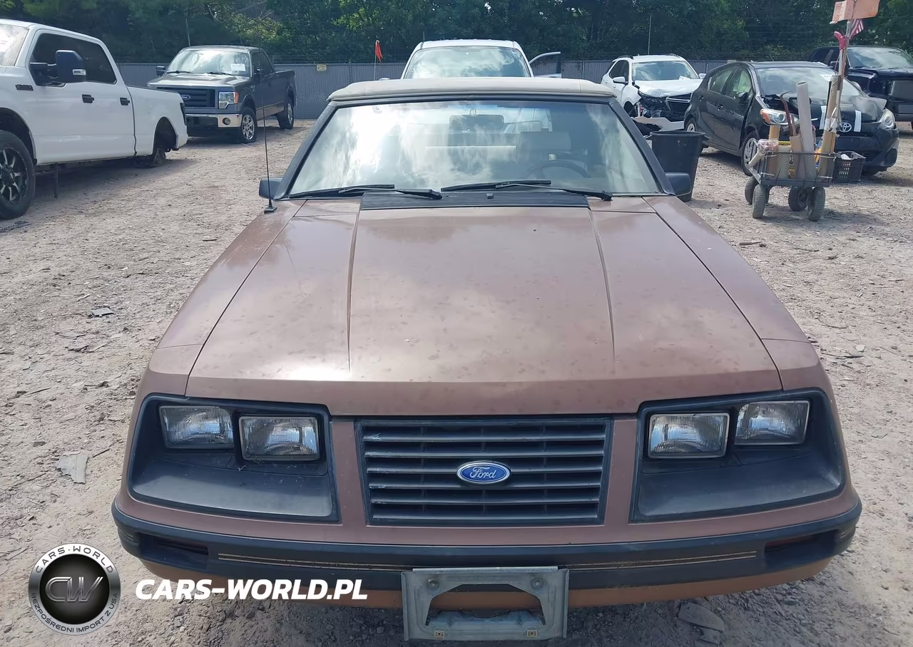 1983 Ford Mustang VIN:1FABP2737DF129958 - 12