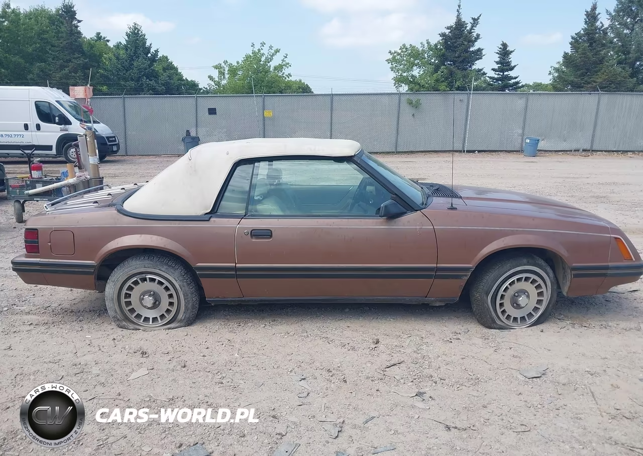 1983 Ford Mustang VIN:1FABP2737DF129958 - 13
