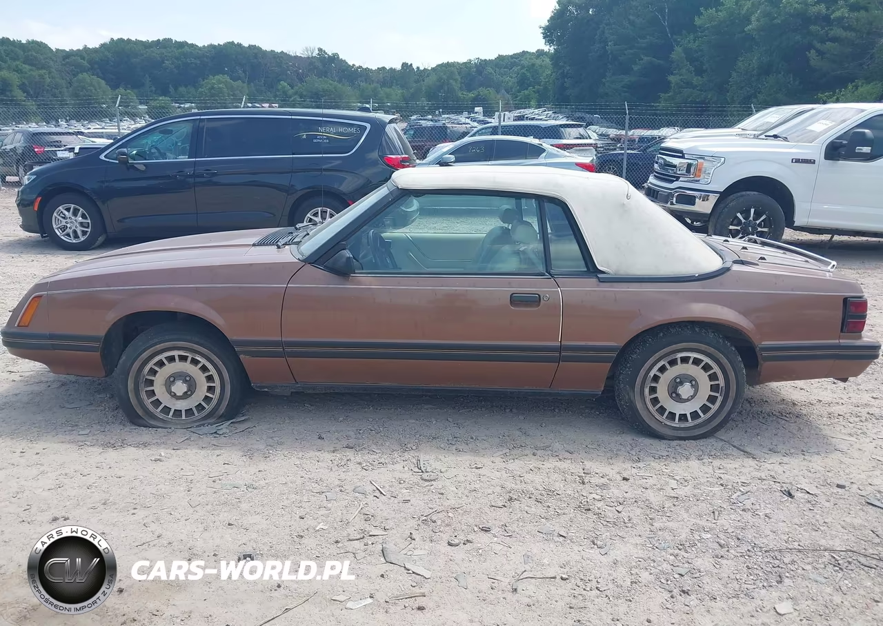 1983 Ford Mustang VIN:1FABP2737DF129958 - 14
