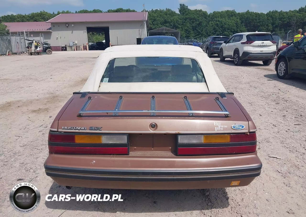 1983 Ford Mustang VIN:1FABP2737DF129958 - 16