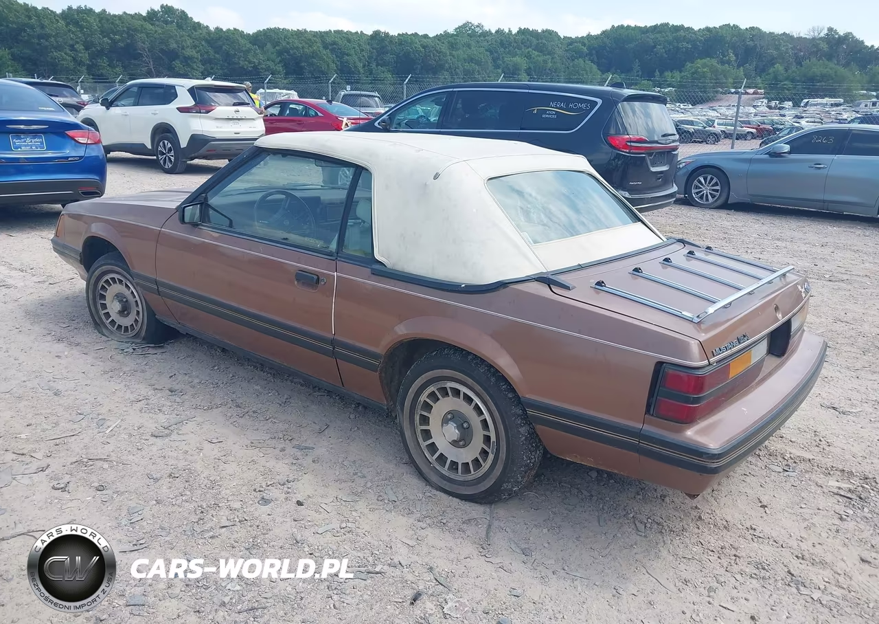1983 Ford Mustang VIN:1FABP2737DF129958 - 3