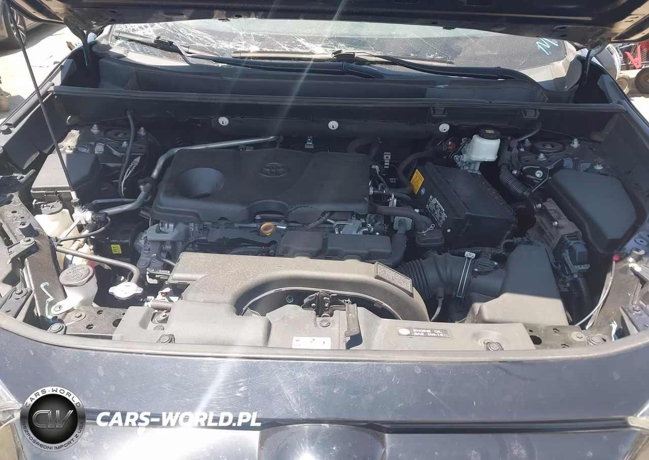 2019 Toyota Rav4 Xle VIN:2T3W1RFV5KW003926 - 10