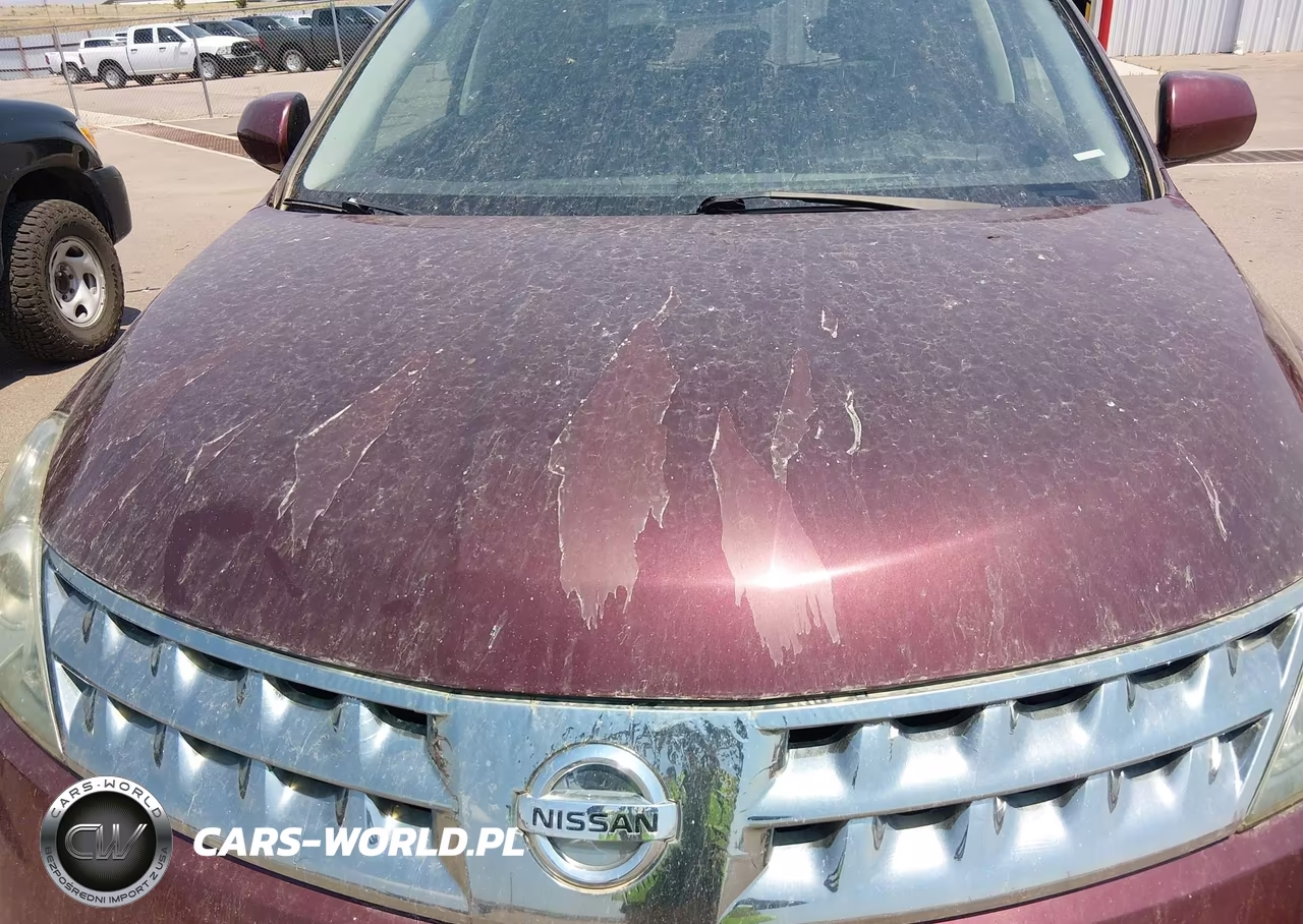 2007 Nissan Murano Se VIN:JN8AZ08W17W621617 - 5