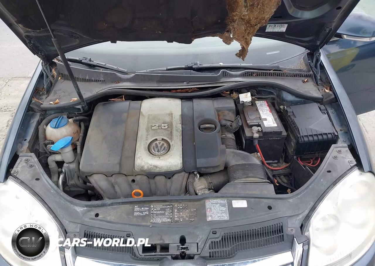 2005 Volkswagen Jetta 2.5 VIN:3VWDG71K25M605161 - 10