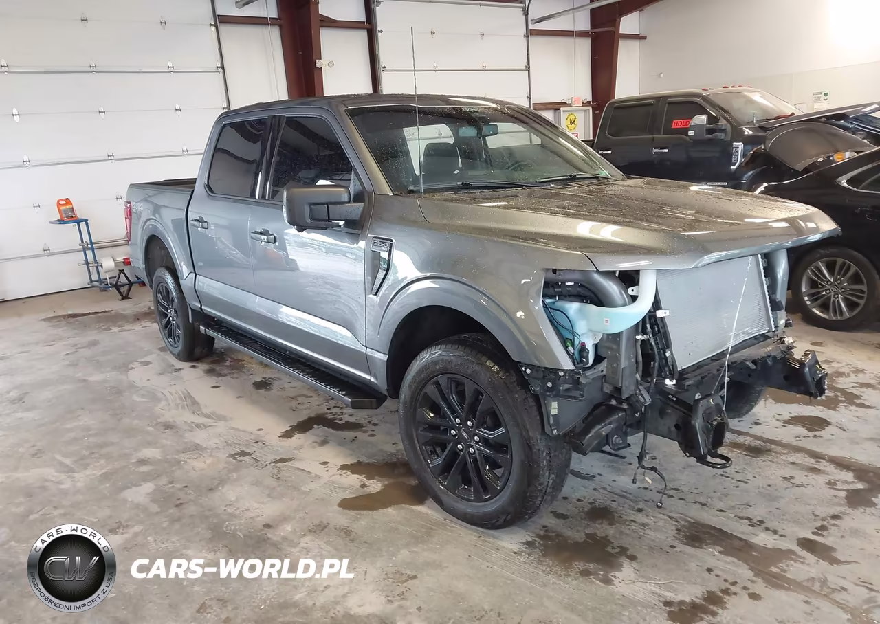 2025 Ford F-150 Xlt – zdjęcie 1 z 17