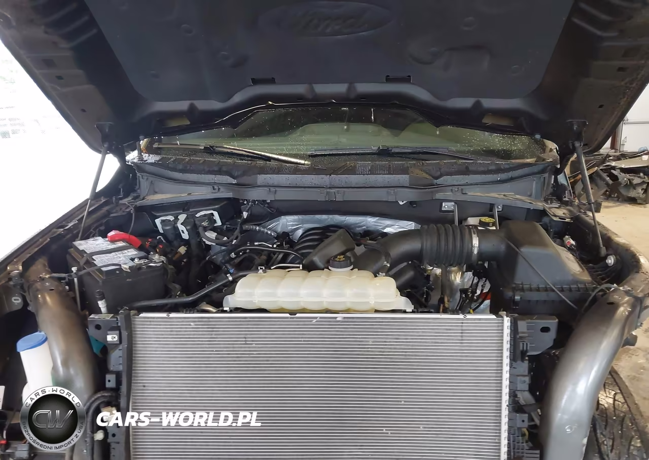 2025 Ford F-150 Xlt VIN:1FTFW3L59SFB79401 - 10