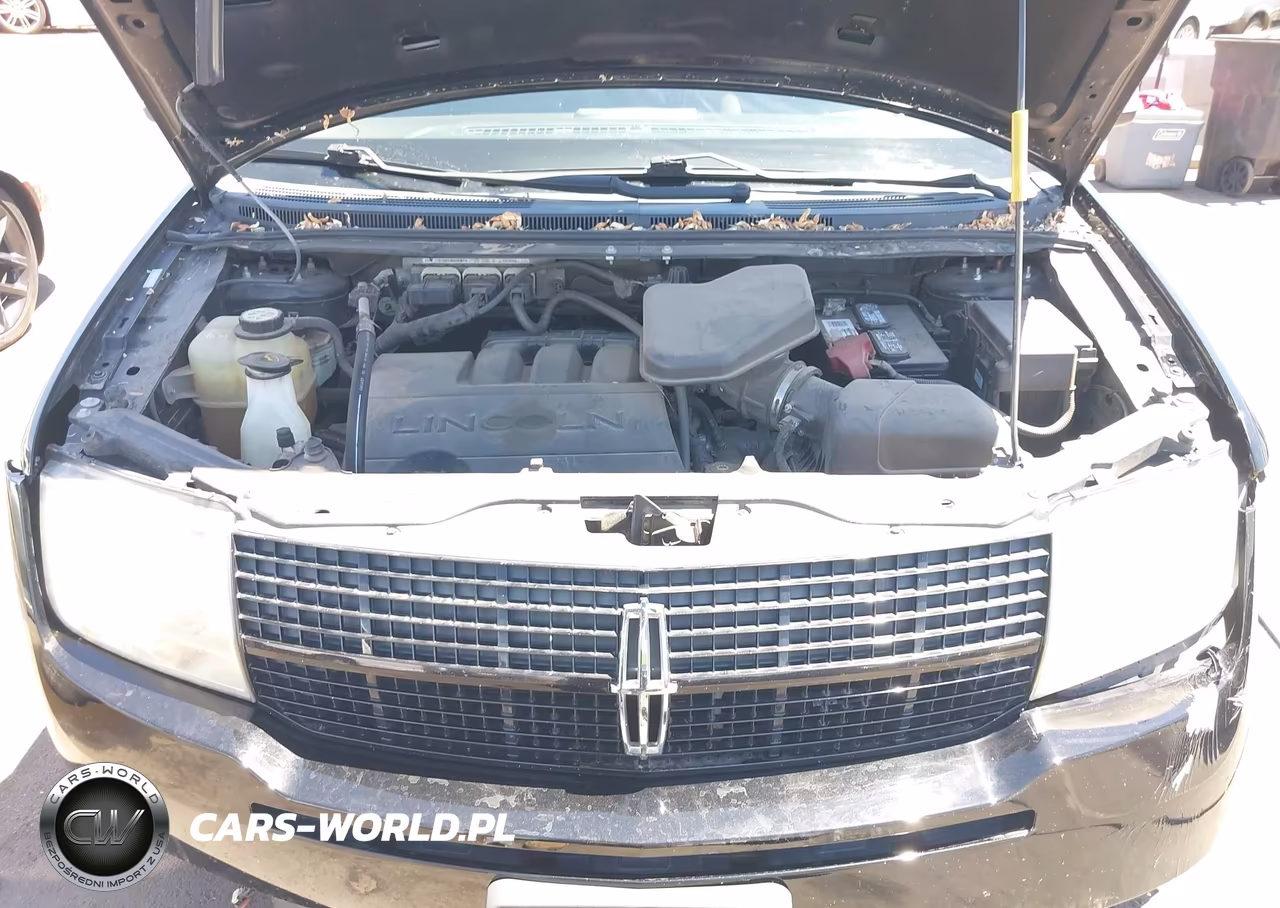 2009 Lincoln Mkx VIN:2LMDU68C99BJ01198 - 10