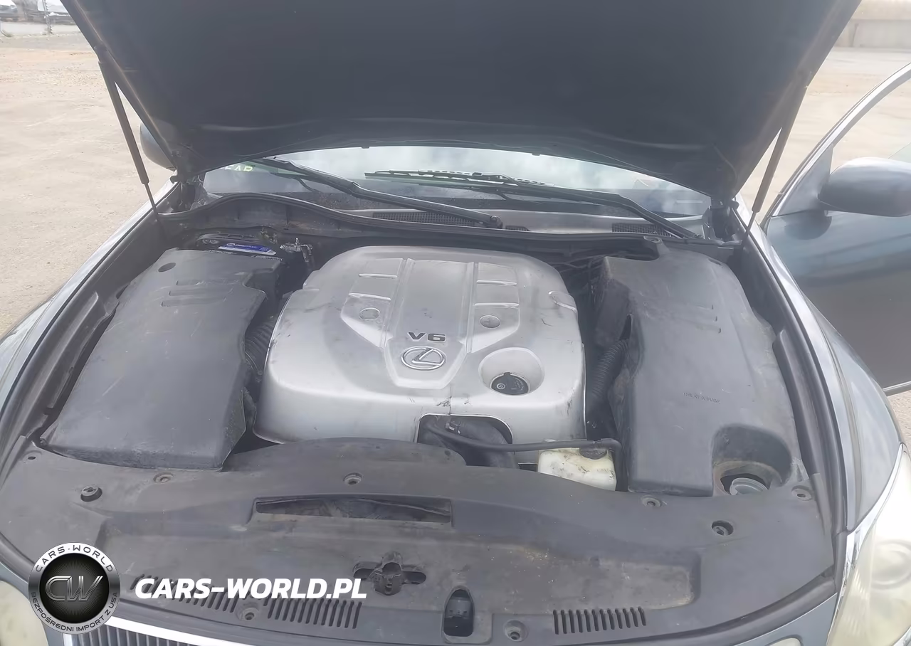 2006 Lexus Gs 300 VIN:JTHBH96S565039353 - 10
