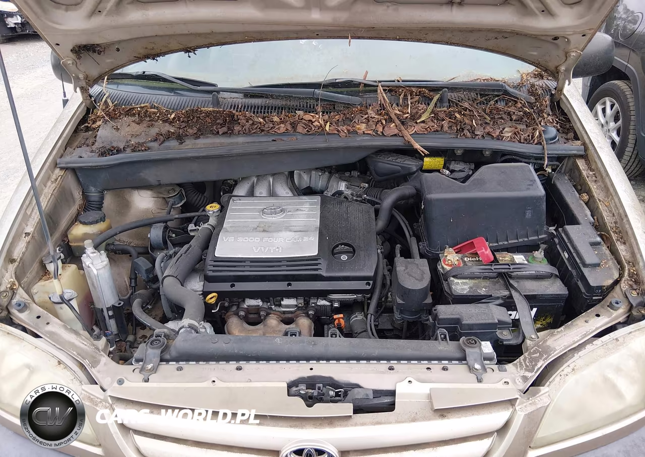 2002 Toyota Sienna Le VIN:4T3ZF13C22U490005 - 10