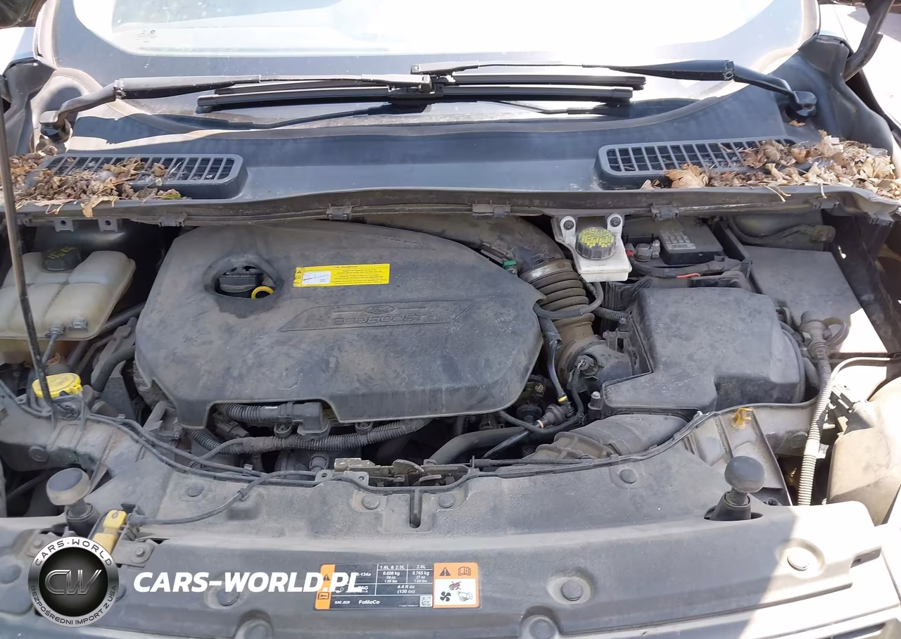 2016 Ford Escape Se VIN:1FMCU9GX8GUA70692 - 10