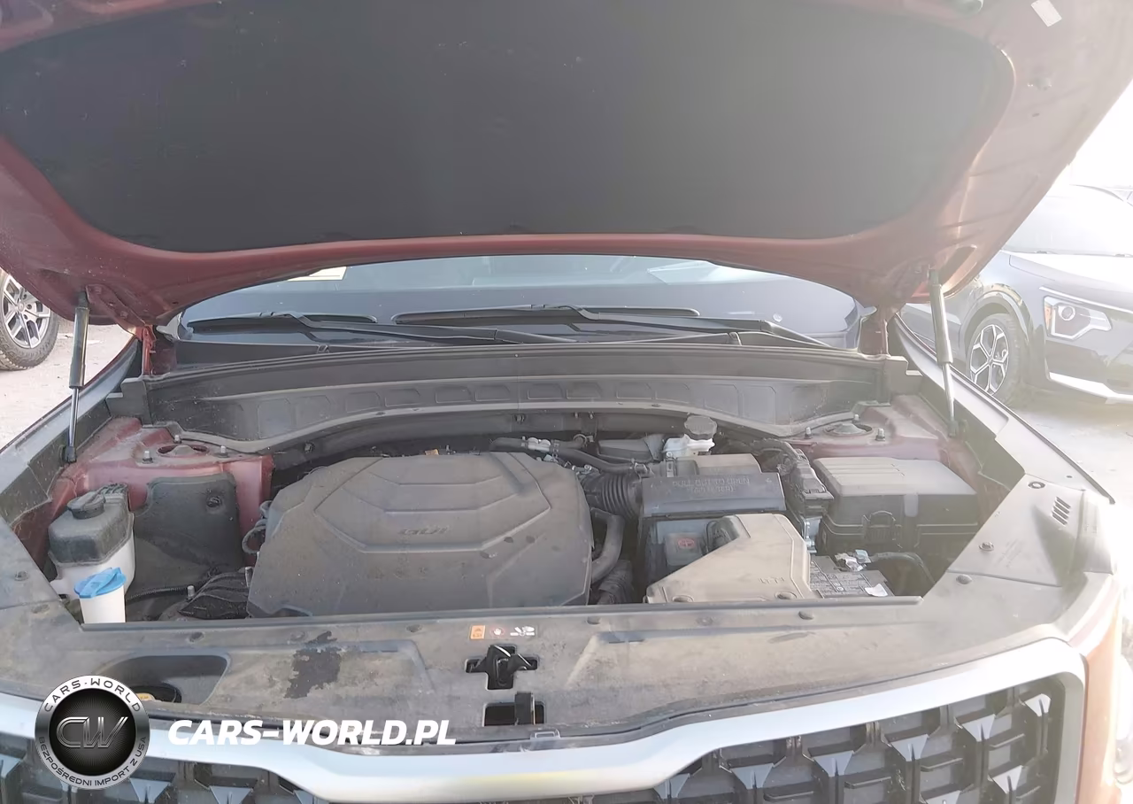 2023 Kia Telluride Sx X-Line VIN:5XYP5DGC4PG353076 - 10