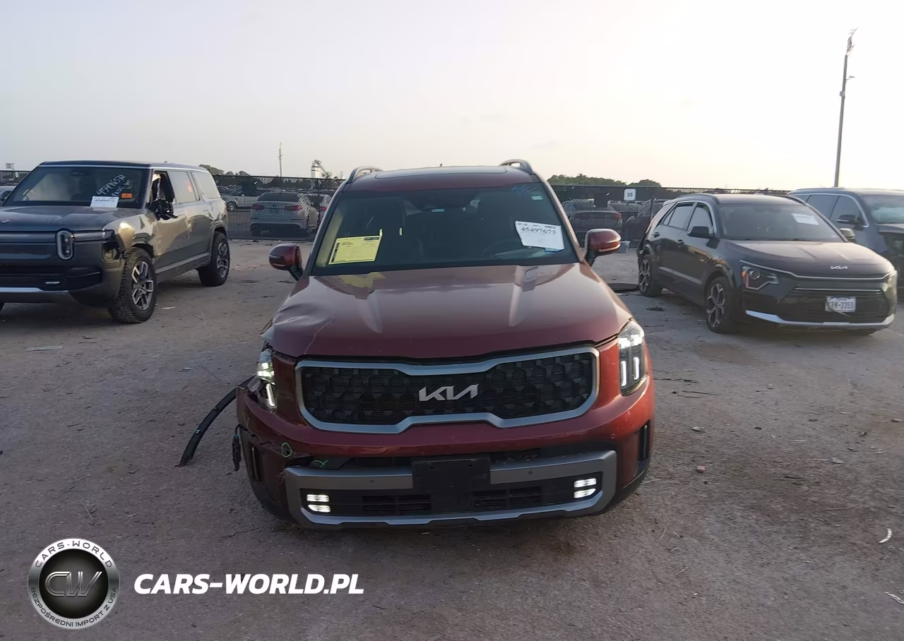 2023 Kia Telluride Sx X-Line VIN:5XYP5DGC4PG353076 - 12