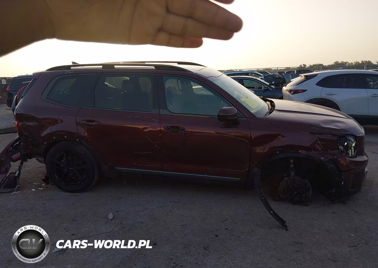 2023 Kia Telluride Sx X-Line VIN:5XYP5DGC4PG353076 - 13