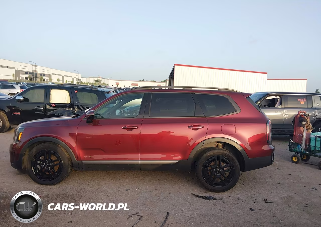 2023 Kia Telluride Sx X-Line VIN:5XYP5DGC4PG353076 - 14