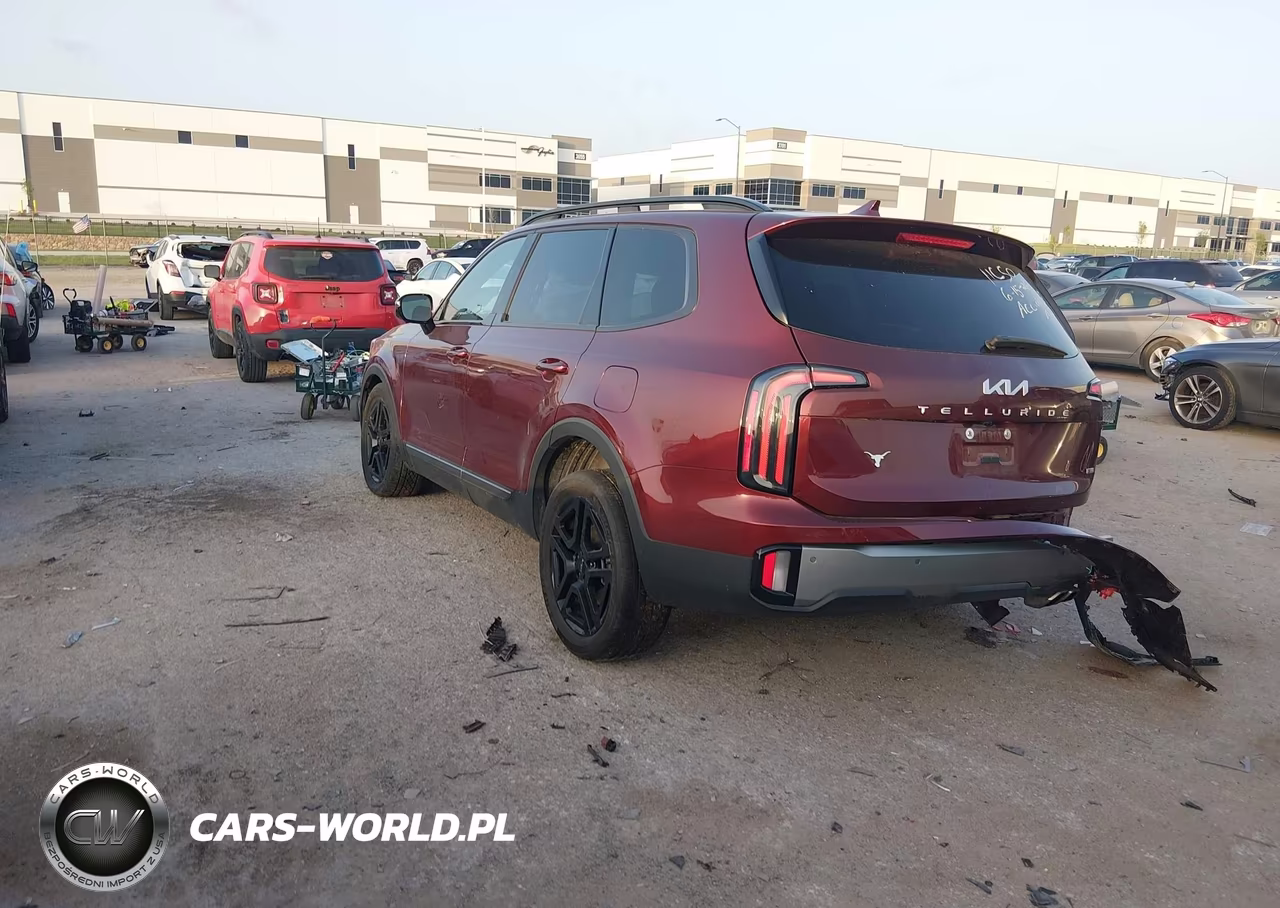 2023 Kia Telluride Sx X-Line VIN:5XYP5DGC4PG353076 - 3