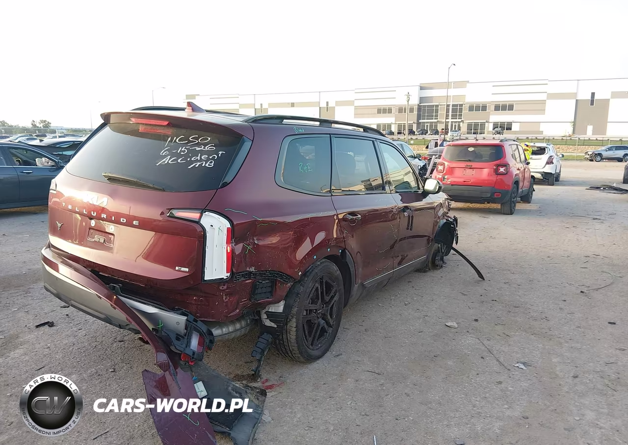 2023 Kia Telluride Sx X-Line VIN:5XYP5DGC4PG353076 - 4