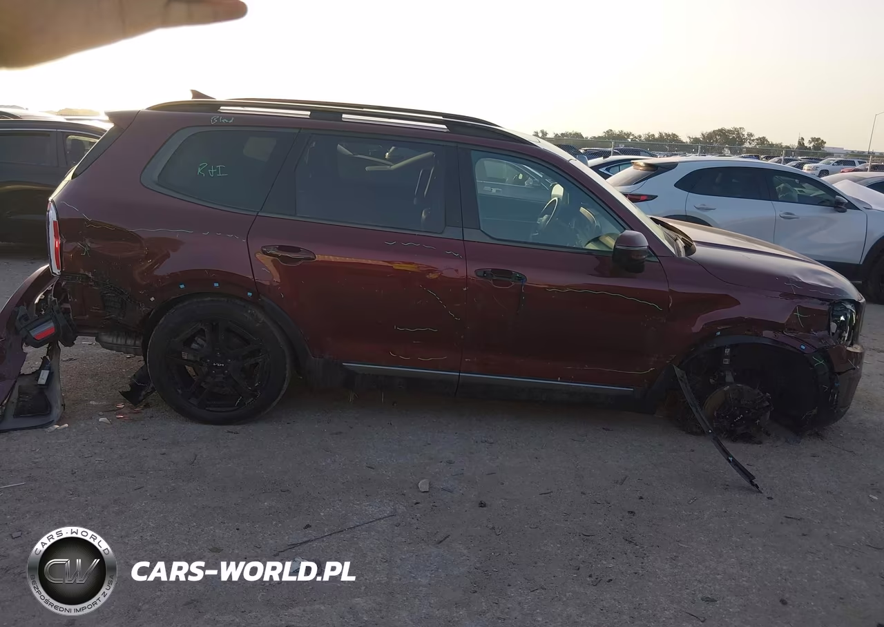 2023 Kia Telluride Sx X-Line VIN:5XYP5DGC4PG353076 - 6