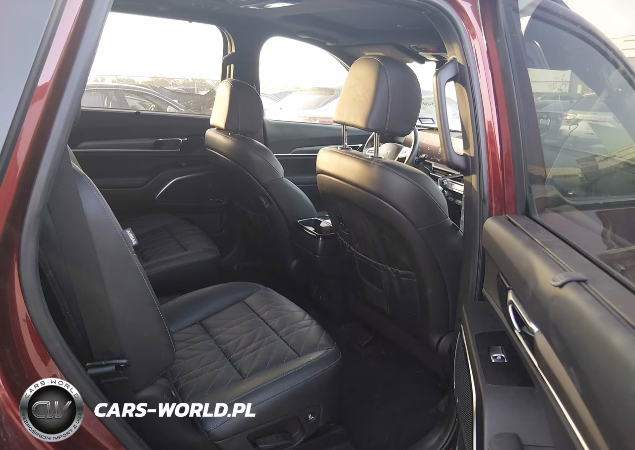 2023 Kia Telluride Sx X-Line VIN:5XYP5DGC4PG353076 - 8