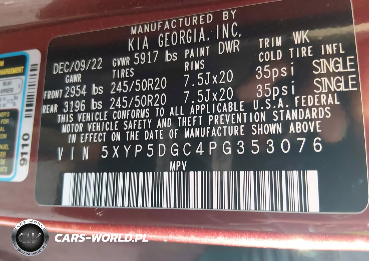 2023 Kia Telluride Sx X-Line VIN:5XYP5DGC4PG353076 - 9