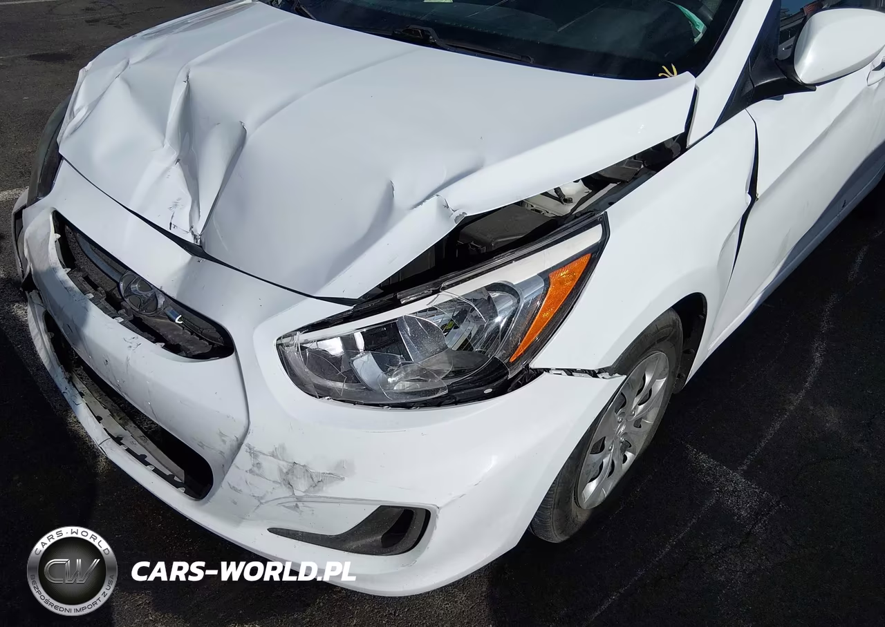 2017 Hyundai Accent Se VIN:KMHCT4AE2HU314691 - 17