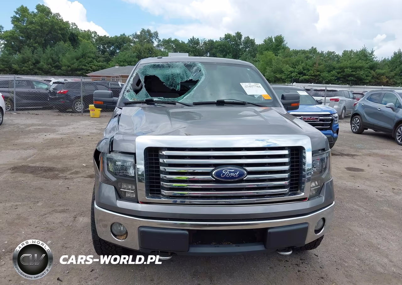 2010 Ford F-150 Stx-Xl-Xlt VIN:1FTEX1E86AFD64976 - 13