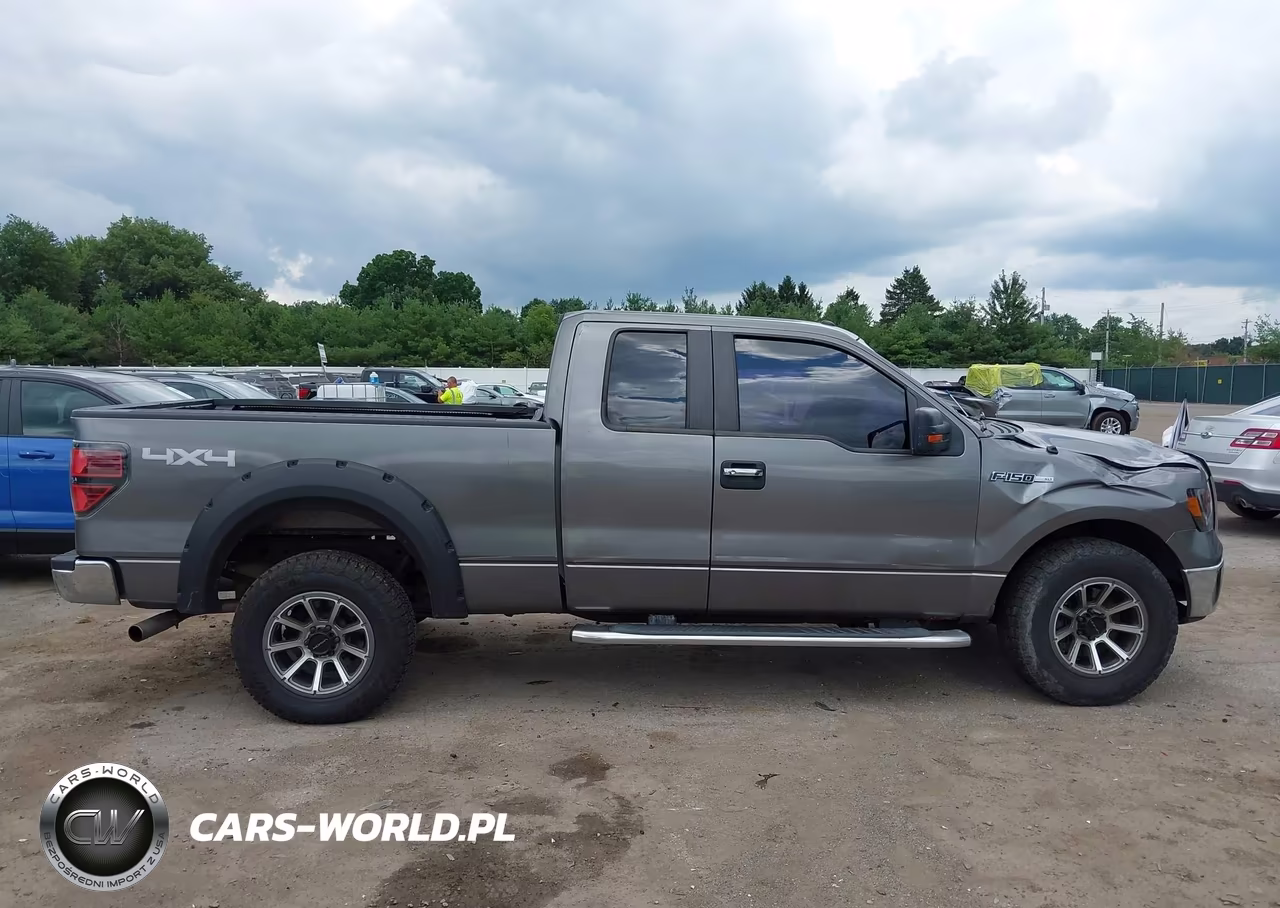 2010 Ford F-150 Stx-Xl-Xlt VIN:1FTEX1E86AFD64976 - 14