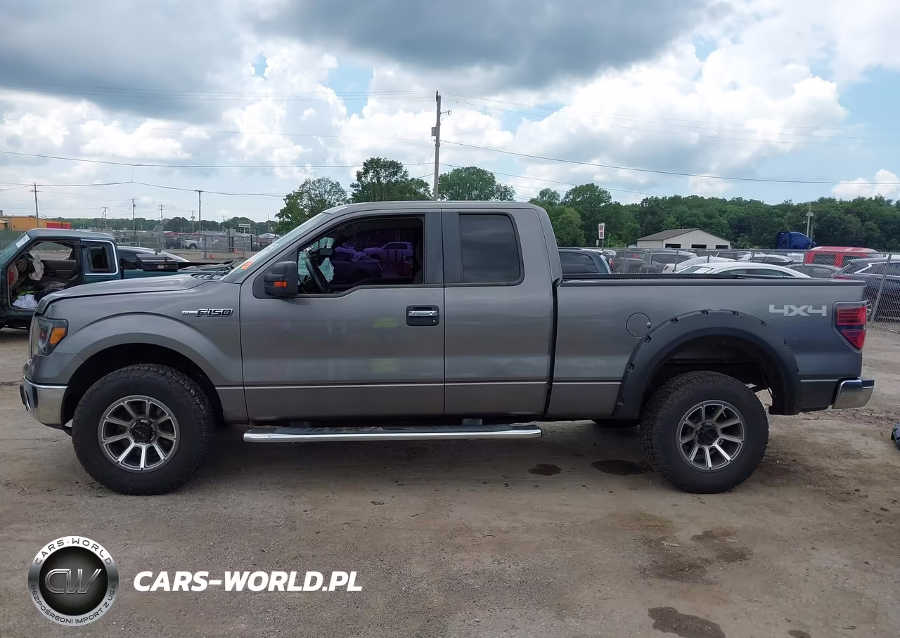 2010 Ford F-150 Stx-Xl-Xlt VIN:1FTEX1E86AFD64976 - 15
