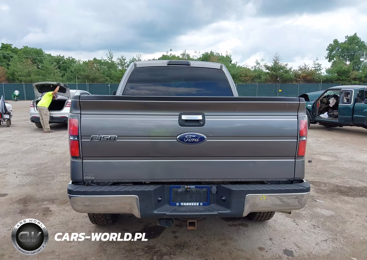 2010 Ford F-150 Stx-Xl-Xlt VIN:1FTEX1E86AFD64976 - 17