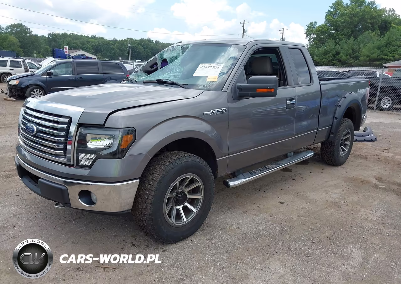 2010 Ford F-150 Stx-Xl-Xlt VIN:1FTEX1E86AFD64976 - 2