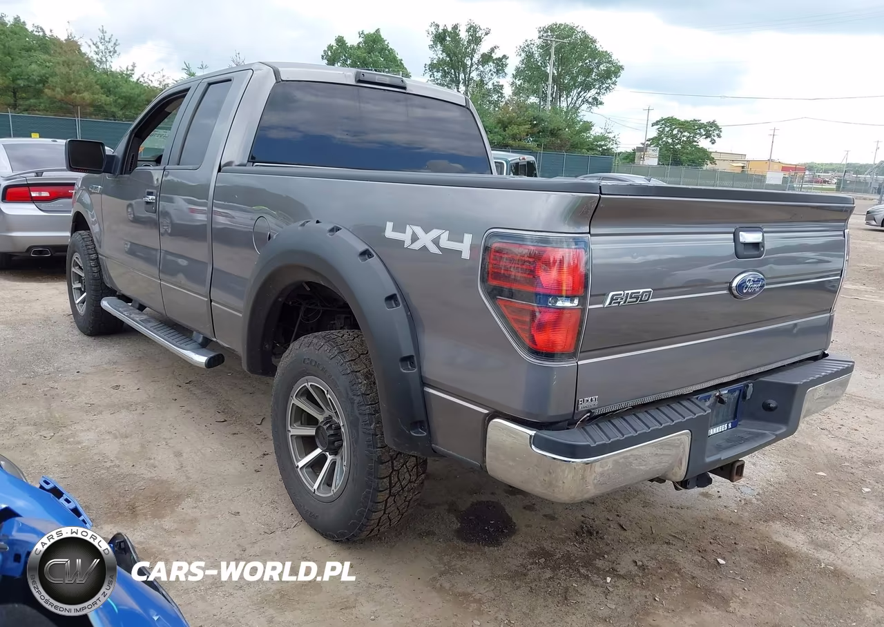 2010 Ford F-150 Stx-Xl-Xlt VIN:1FTEX1E86AFD64976 - 3