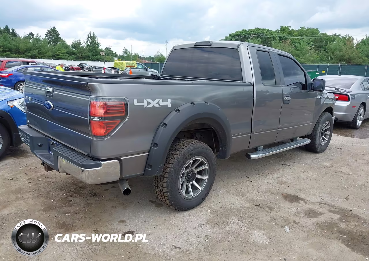 2010 Ford F-150 Stx-Xl-Xlt VIN:1FTEX1E86AFD64976 - 4