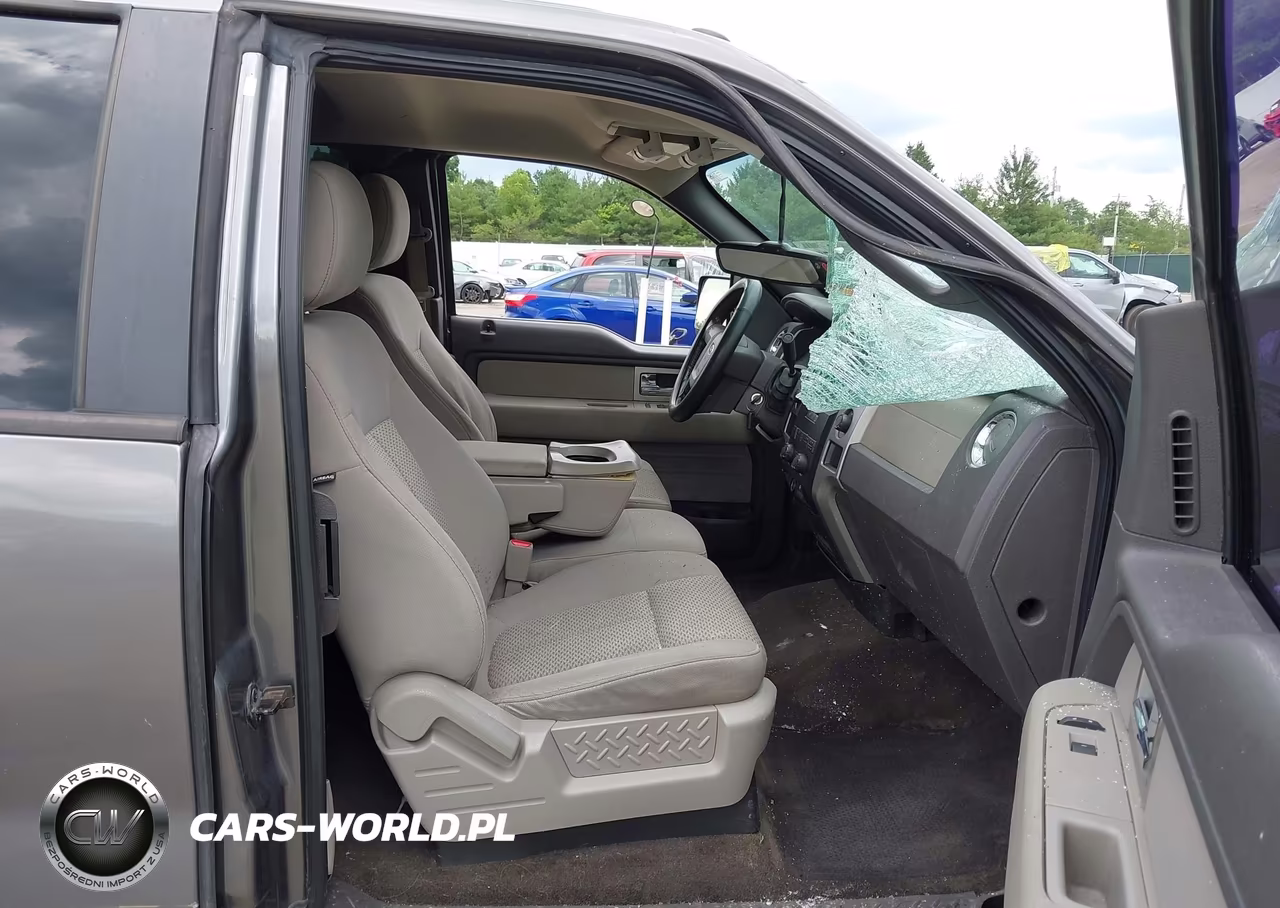 2010 Ford F-150 Stx-Xl-Xlt VIN:1FTEX1E86AFD64976 - 5