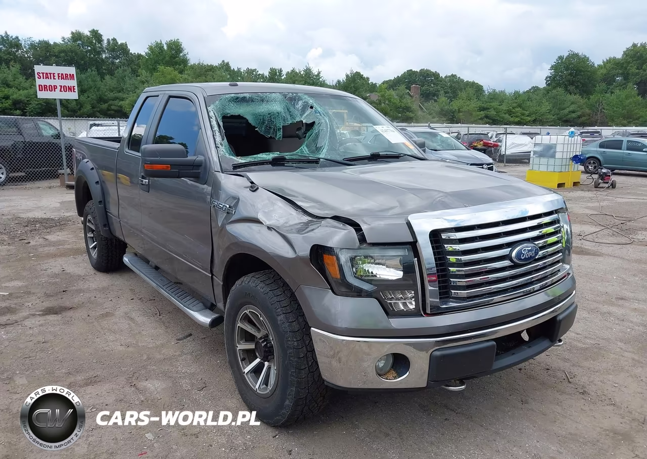 2010 Ford F-150 Stx-Xl-Xlt VIN:1FTEX1E86AFD64976 - 6