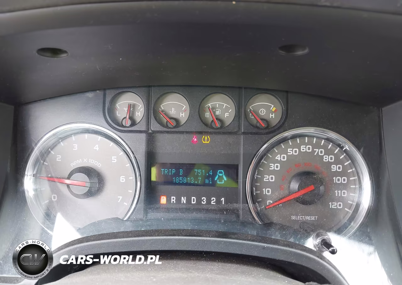2010 Ford F-150 Stx-Xl-Xlt VIN:1FTEX1E86AFD64976 - 7