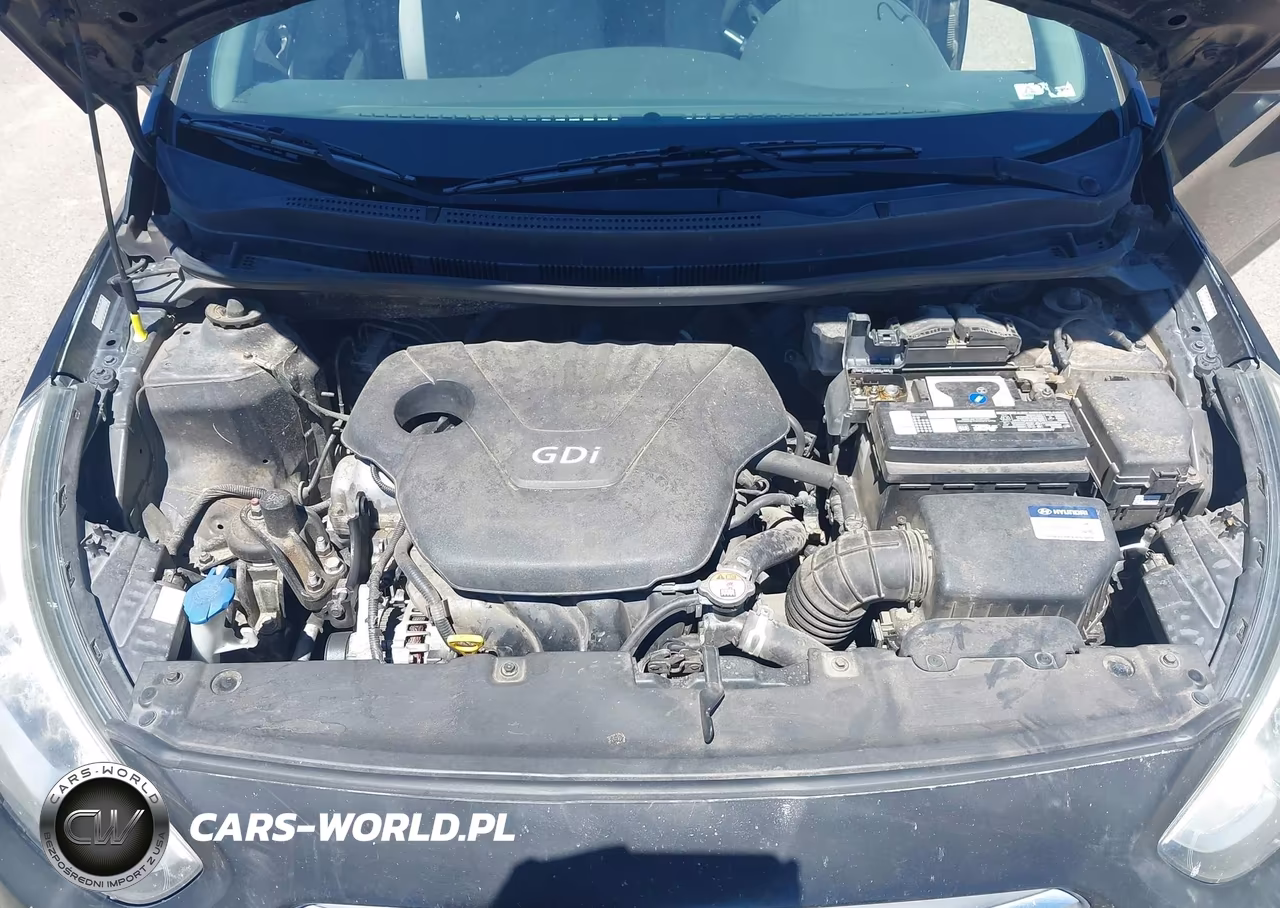 2015 Hyundai Accent Gls VIN:KMHCT4AE3FU874006 - 10