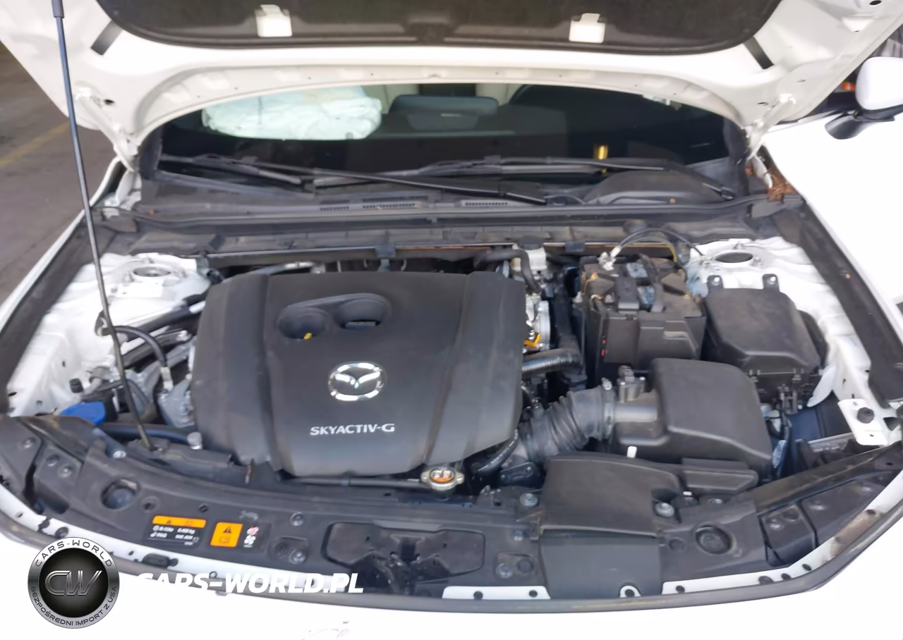 2019 Mazda Mazda3 VIN:JM1BPBJM1K1129816 - 10