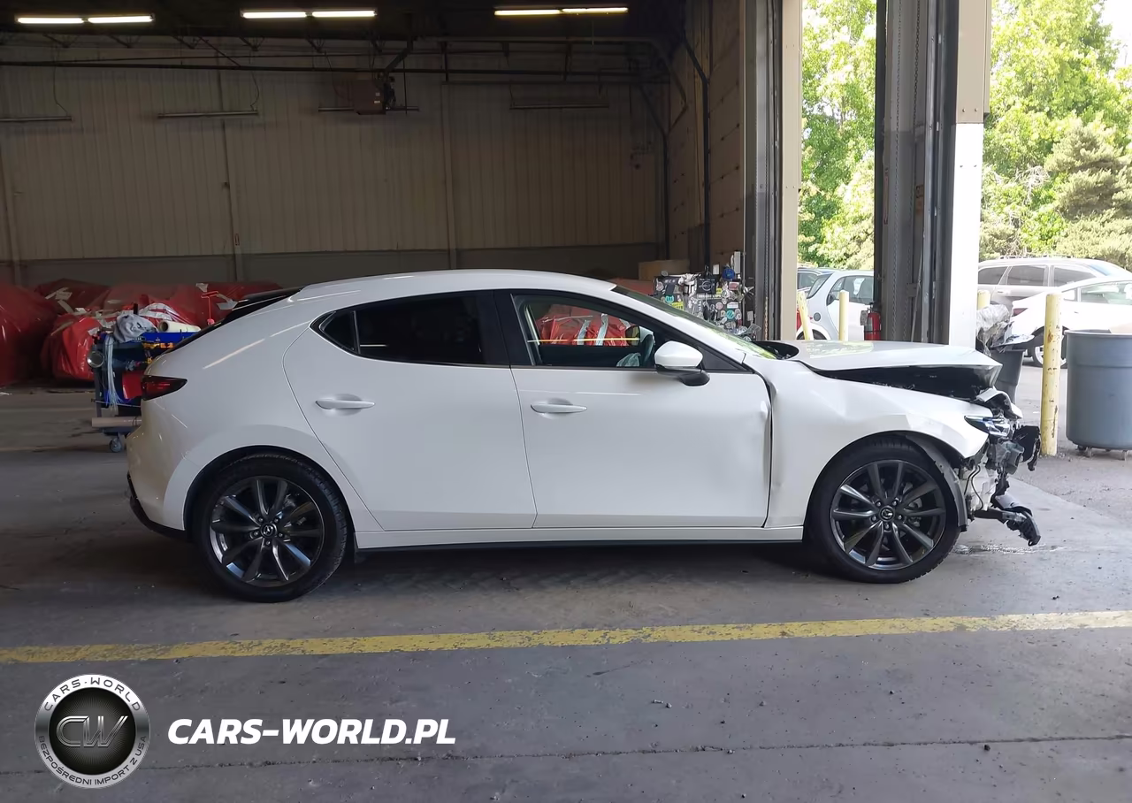 2019 Mazda Mazda3 VIN:JM1BPBJM1K1129816 - 14