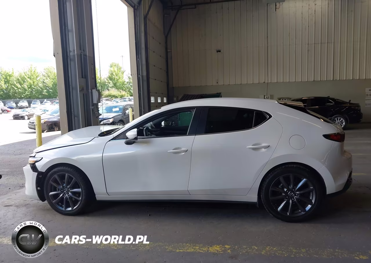 2019 Mazda Mazda3 VIN:JM1BPBJM1K1129816 - 15