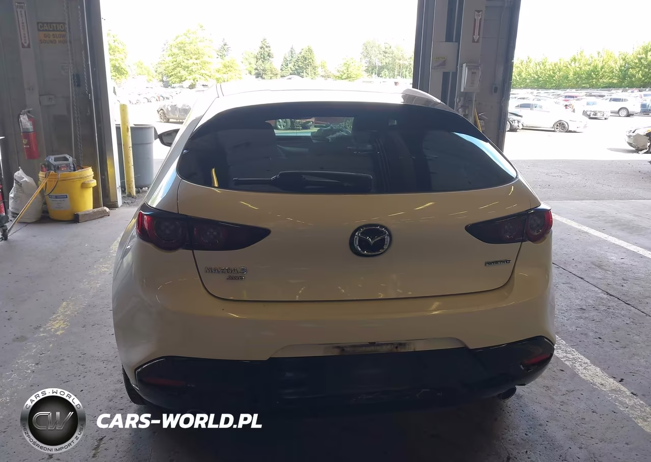 2019 Mazda Mazda3 VIN:JM1BPBJM1K1129816 - 17