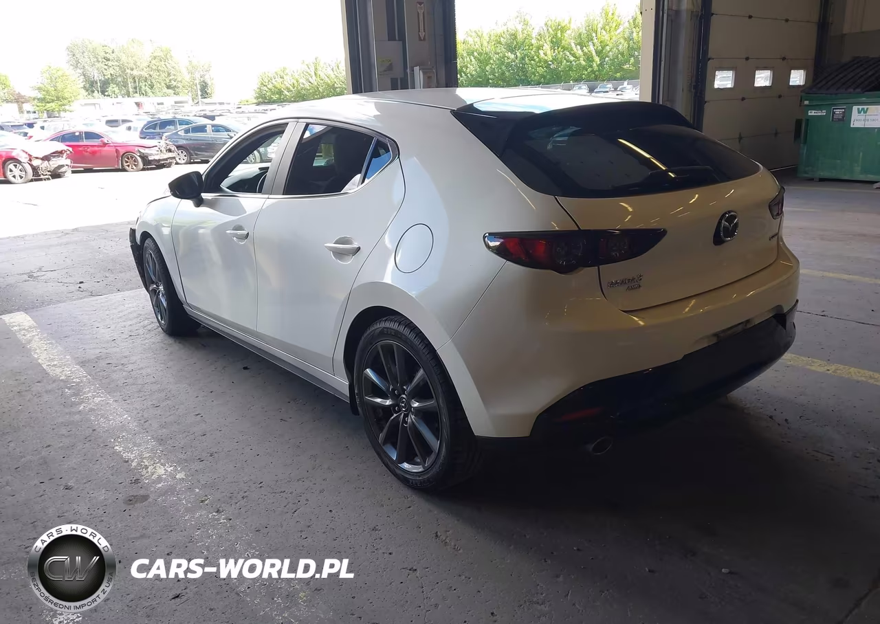 2019 Mazda Mazda3 VIN:JM1BPBJM1K1129816 - 3