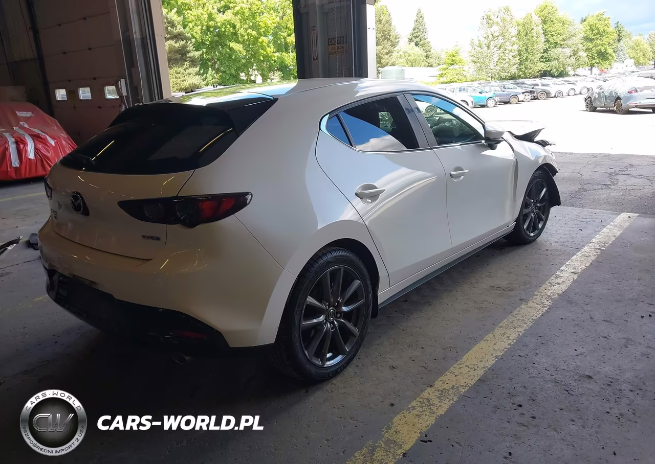 2019 Mazda Mazda3 VIN:JM1BPBJM1K1129816 - 4