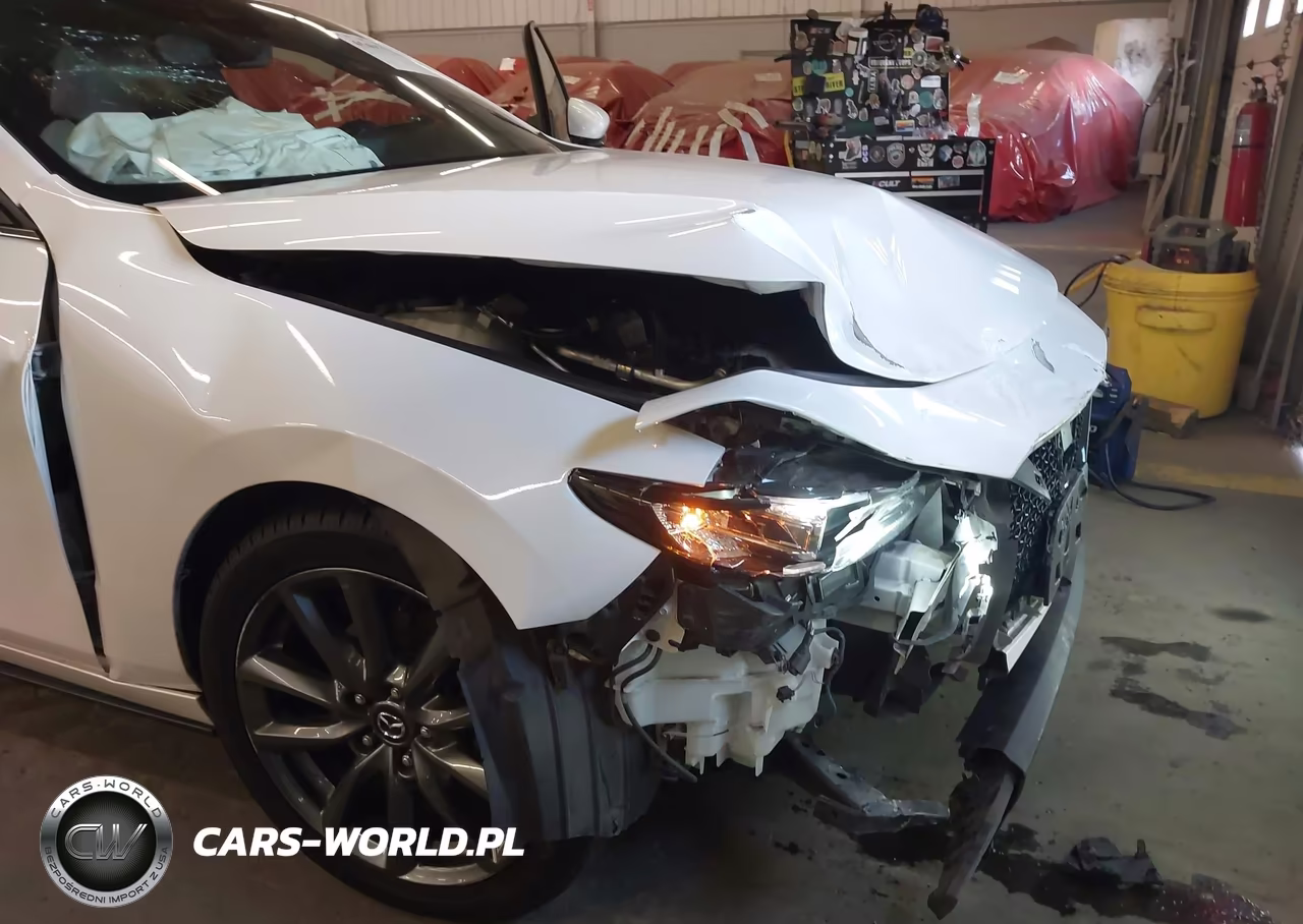 2019 Mazda Mazda3 VIN:JM1BPBJM1K1129816 - 6