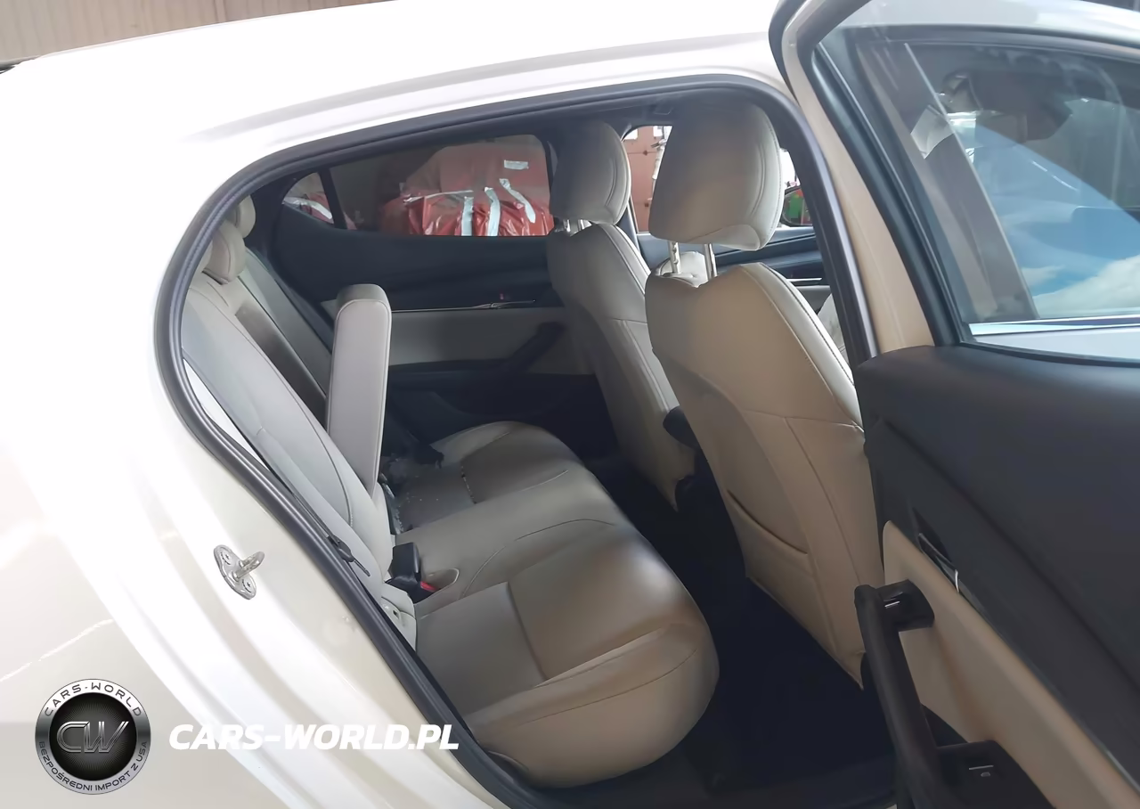 2019 Mazda Mazda3 VIN:JM1BPBJM1K1129816 - 8