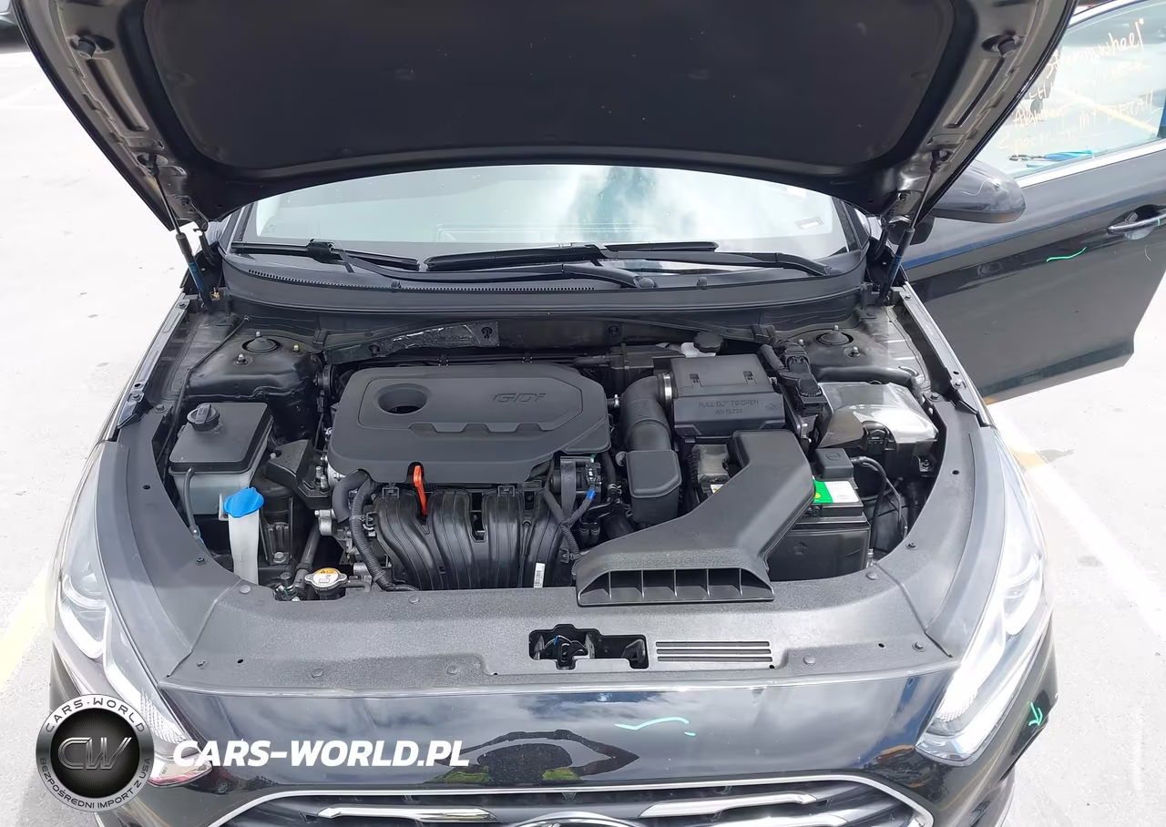 2019 Hyundai Sonata Se VIN:5NPE24AF2KH748541 - 10