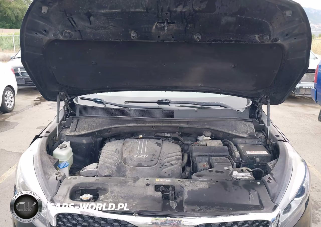 2017 Kia Sorento 3.3L Lx VIN:5XYPGDA54HG192637 - 10