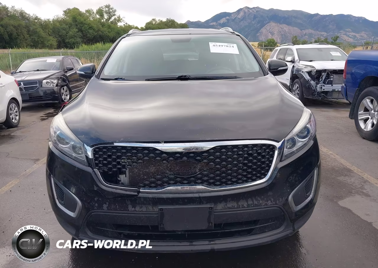 2017 Kia Sorento 3.3L Lx VIN:5XYPGDA54HG192637 - 12