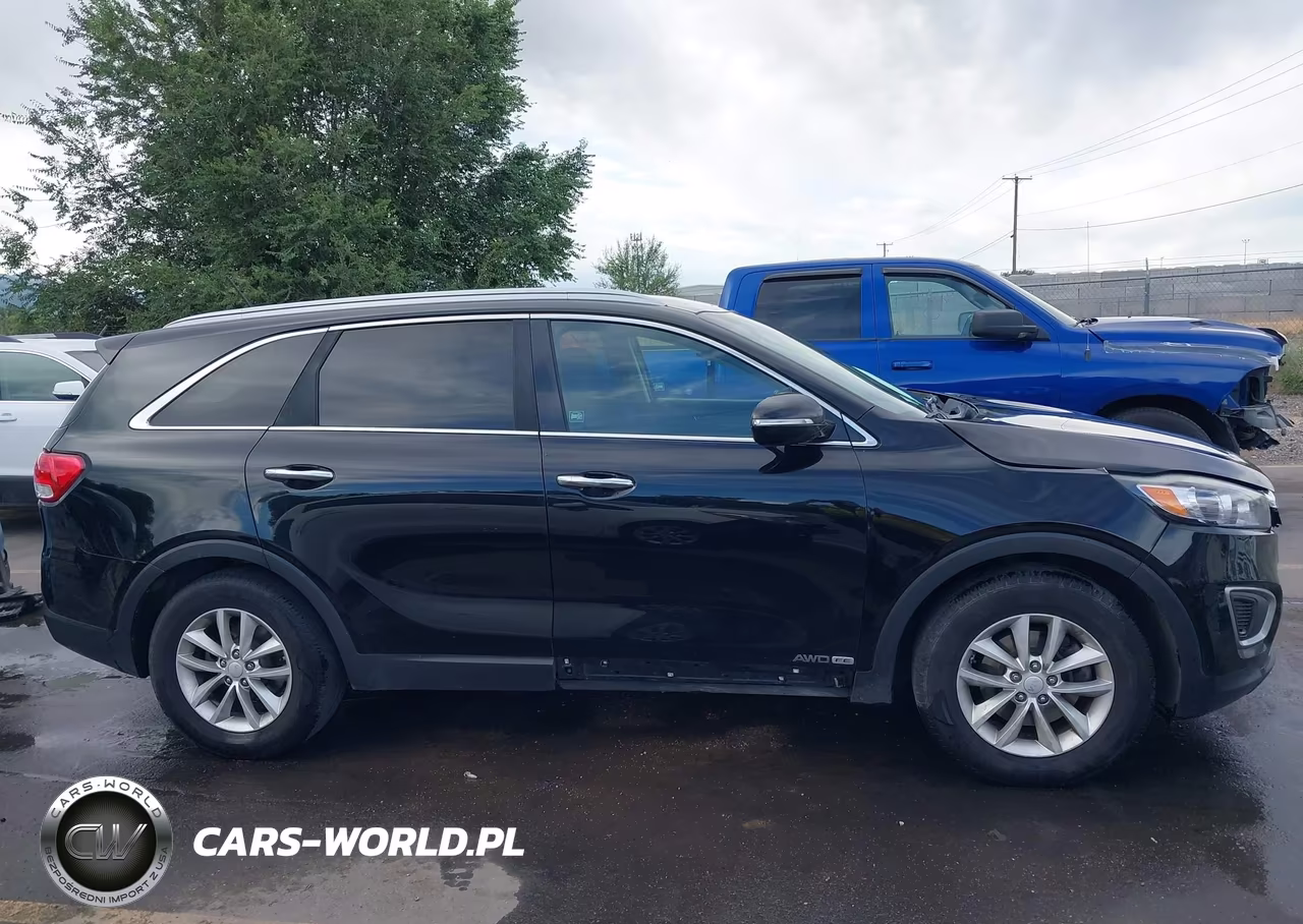 2017 Kia Sorento 3.3L Lx VIN:5XYPGDA54HG192637 - 13