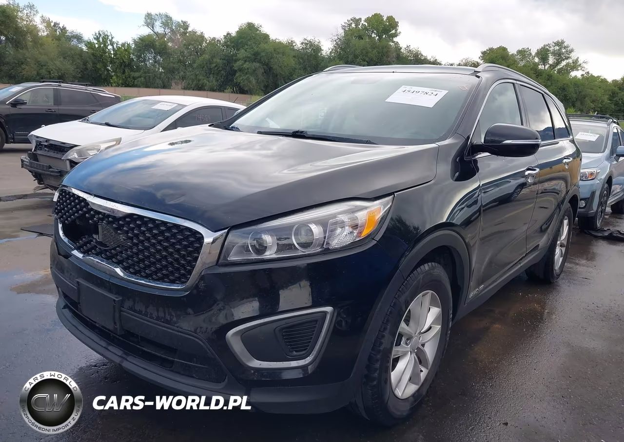 2017 Kia Sorento 3.3L Lx VIN:5XYPGDA54HG192637 - 2