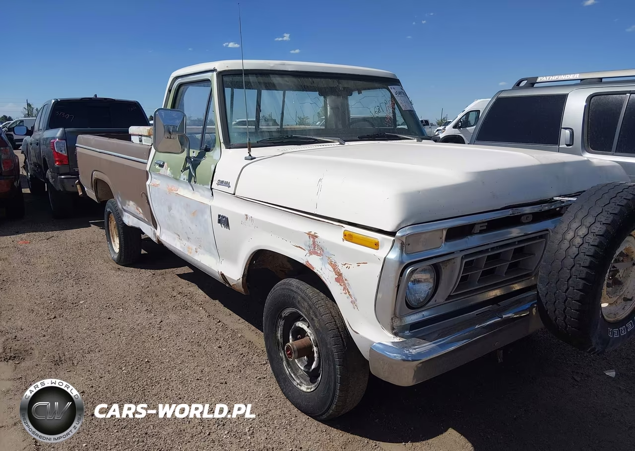 1976 Ford F-150 VIN:F14YRC25743 - 6